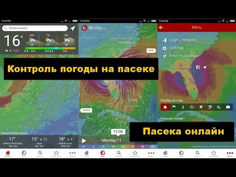 Обзор андроид-программы для прогноза погоды