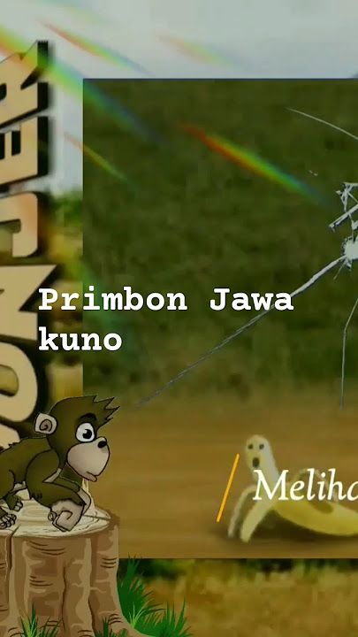 Arti mimpi melihat monyet masuk rumah menurut Primbon Jawa