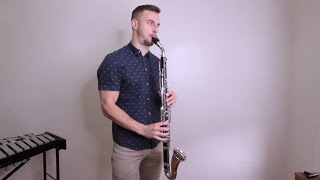 I bought an Alto Clarinet on Ebay but... does it work?