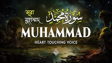 Surah Muhammad سورة محمد | A Quiet Voice to Anchor Your Thoughts | Al-Taqwa TV