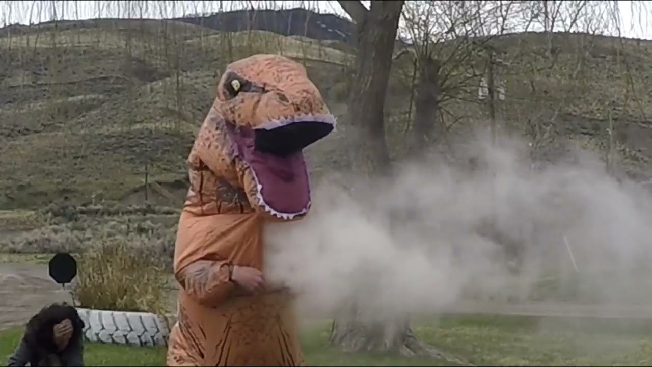 DINOBOX - The Ultimate Hotbox *DO NOT TRY*