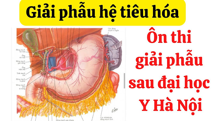 Hình nói về về học hệ tiêu hóa