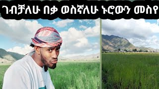 በቃ ወሰንኩ ማንም አይመልሰኝ ኑ እናተም ወስኑ