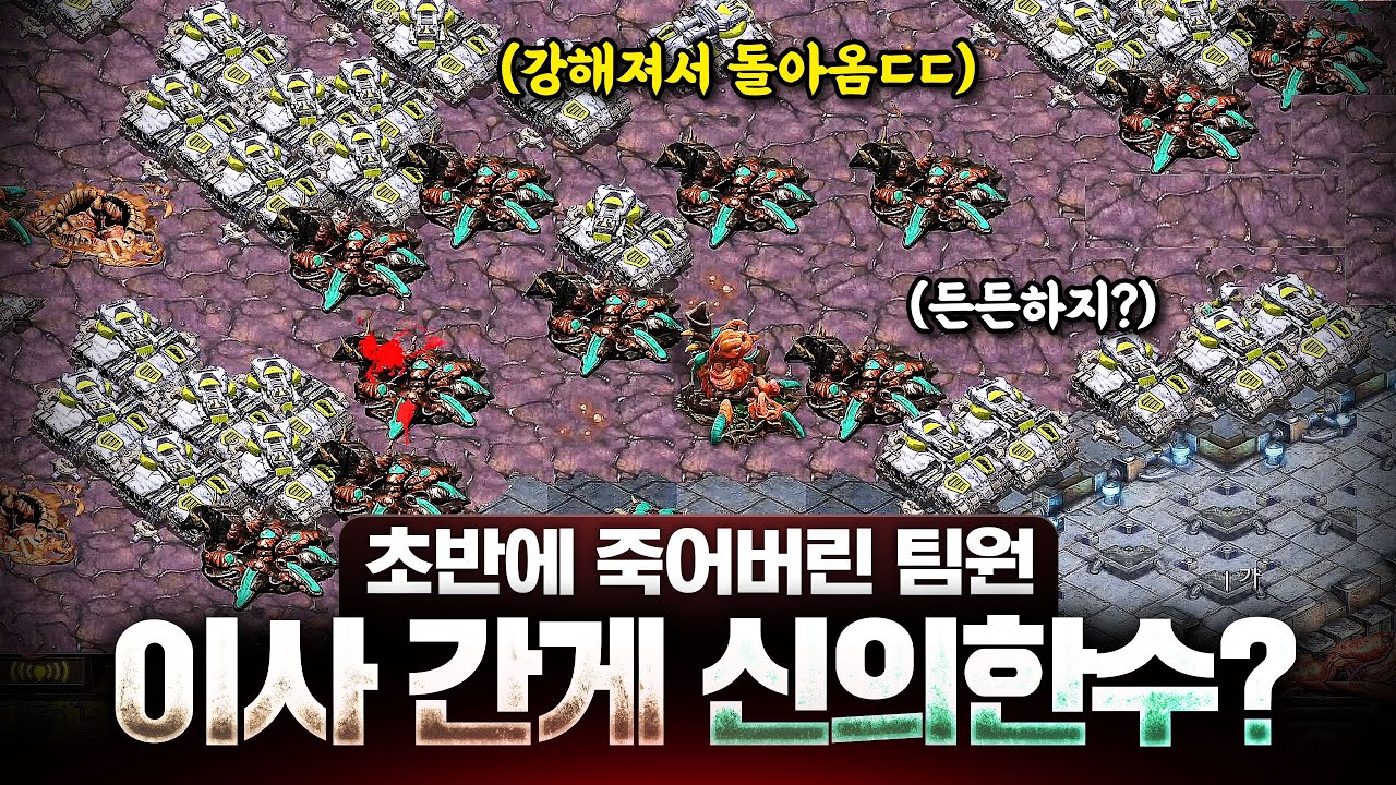 6분만에 죽고 도망왔지만 테란님 굿ㅋㅋ 당신이 살아남은게 신의 한수입니다