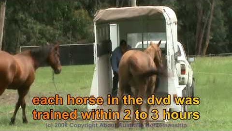 Trailer Loading / Float Loading Horses