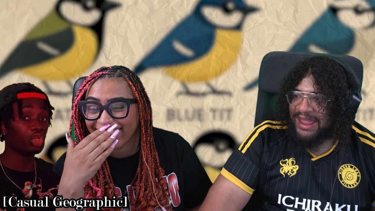 A GREAT PAIR OF TITBIRDS | Casual Geographic Reaction