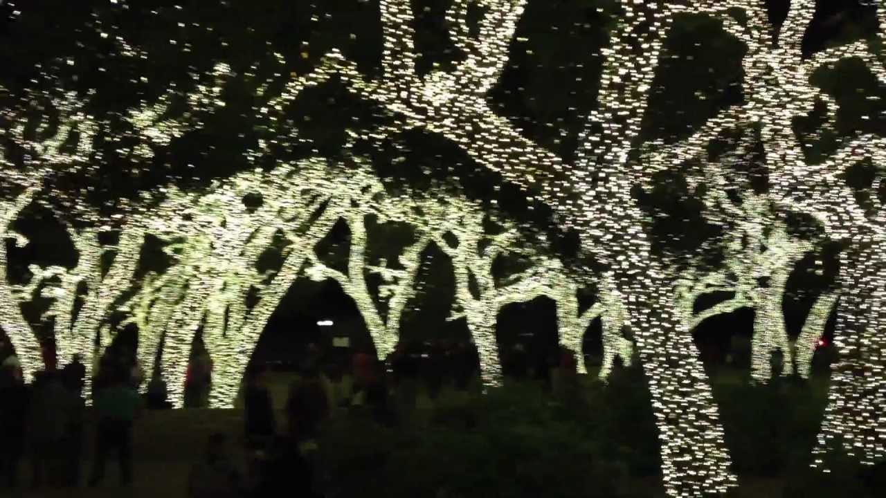 Christmas Lights in Johnson City Texas YouTube