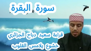 سورة البقرة كاملة بصوت سعيد دباح الجزائري خشوع يلامس القلوب