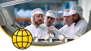 Egg processing - Supplier of Egg Processing Machines - SANOVO TECHNOLOGY
