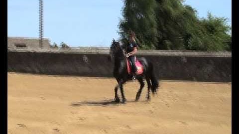 vlc record 2017 05 19 11h53m00s VTS 01 1 VOB