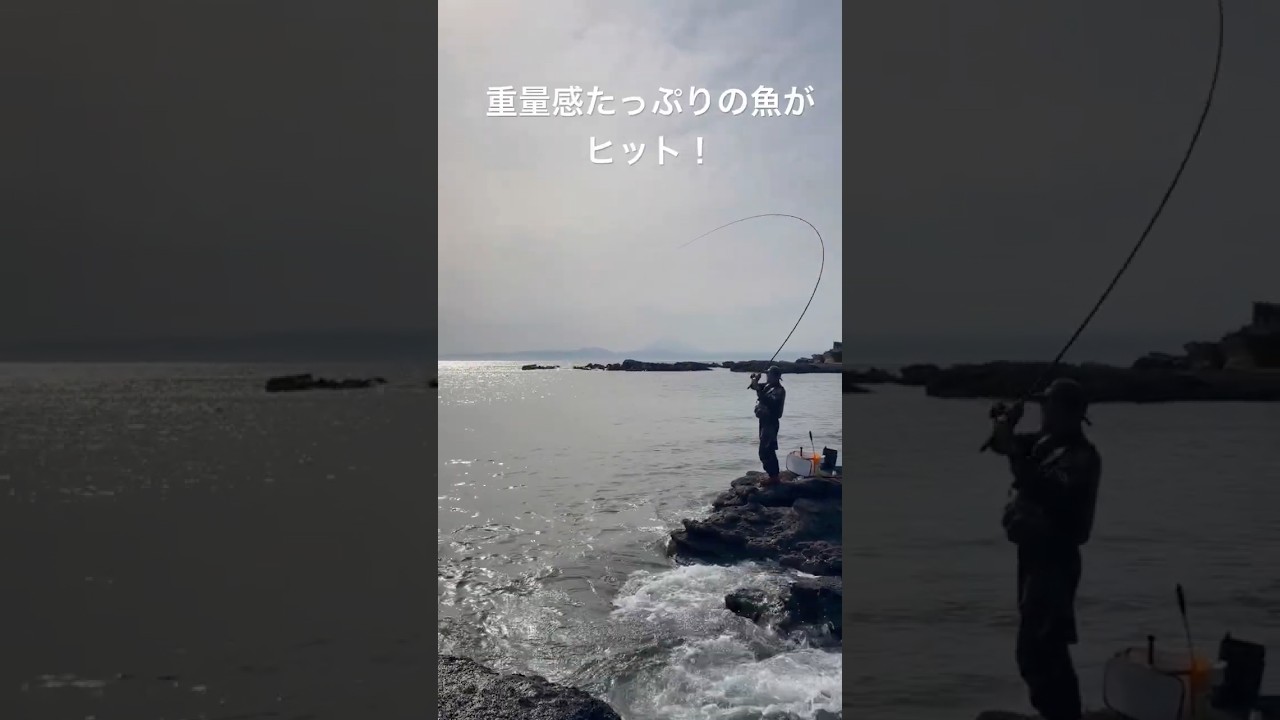 東京から1時間で行ける海辺に通うこと8年。ついに大願成就! #磯釣り #三浦半島 #黒鯛 #チヌ釣り #クロダイ