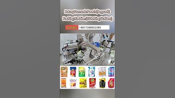 High Speed Rotary Premade Pouch (Doypack) Packing Machine (8 Working Stations)