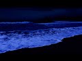 Ocean Night Sounds to Help You Fall Asleep Quickly and Balance Your Emotions