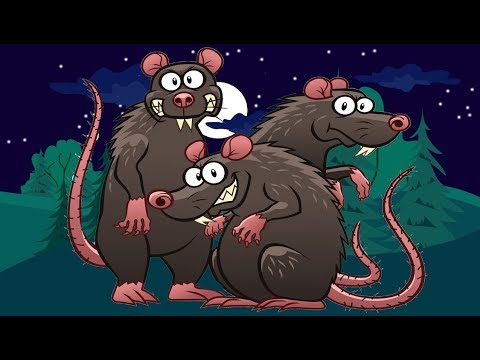 Video: Wat is waardestroom rats?