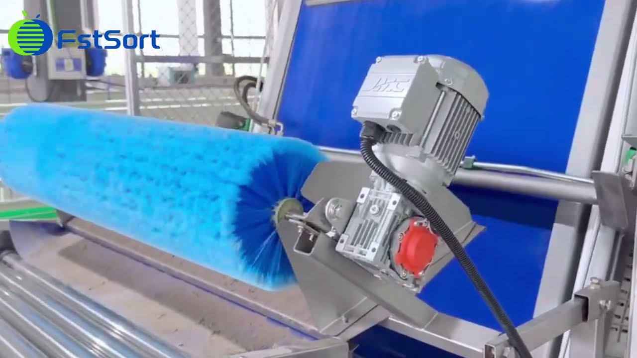 Automatic potato sorting and packaging machine, vegetable grading processing equipment