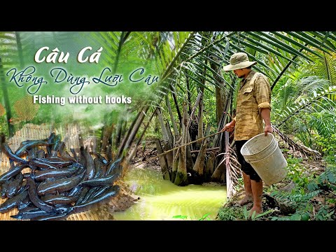 Video Câu Cá Không Cần Lưỡi Câu | Làm Cá Bống Dừa Hấp Bí Đỏ... - youtube