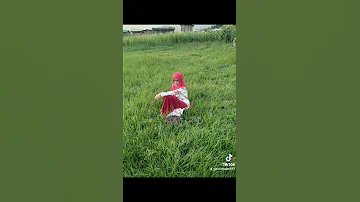 የገጠር ዘፈን 