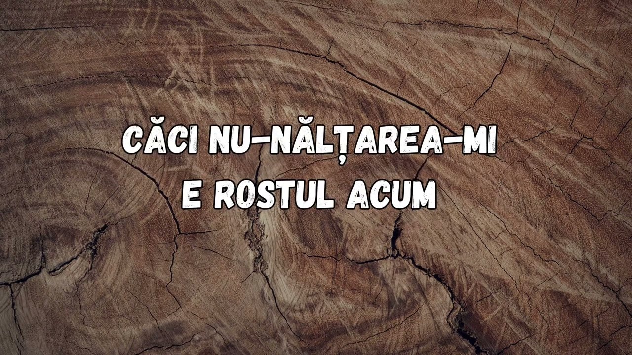 Ajuta ma Doamne