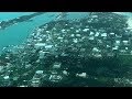 'Apocalyptic' levels of destruction in Bahamas after Hurricane Dorian