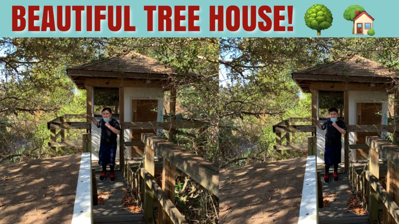 ⁣TREE HOUSE! OLD BEAUTIFUL TREE HOUSE // TREE HOUSE // PEOPLE AND BLOGS CHANNEL