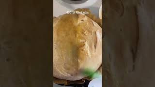 Easy Artisan Bread with just four ingredients! #baking #bread #kitchen #cooking #nature