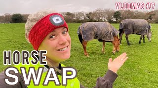 HORSE SWAP | Swapping Equestrian Routines for the Day | Attempting to long rein a Young Horse