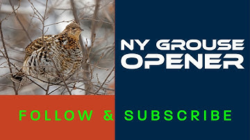NY Grouse Camp 2022   4K