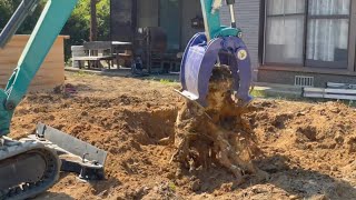 大量な庭木の伐採と抜根2日目