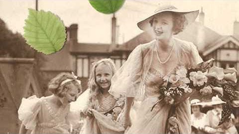 Free Falling Leaves Effects Download for ProShow