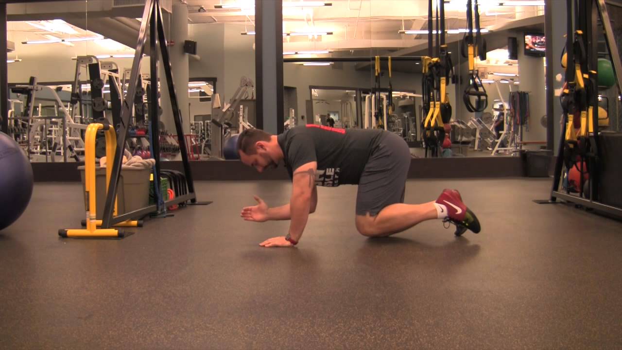 Bird Dog Elbow to Knee YouTube