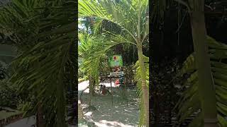 Parque Ecolgico Lauro De Freitas Ba fyour