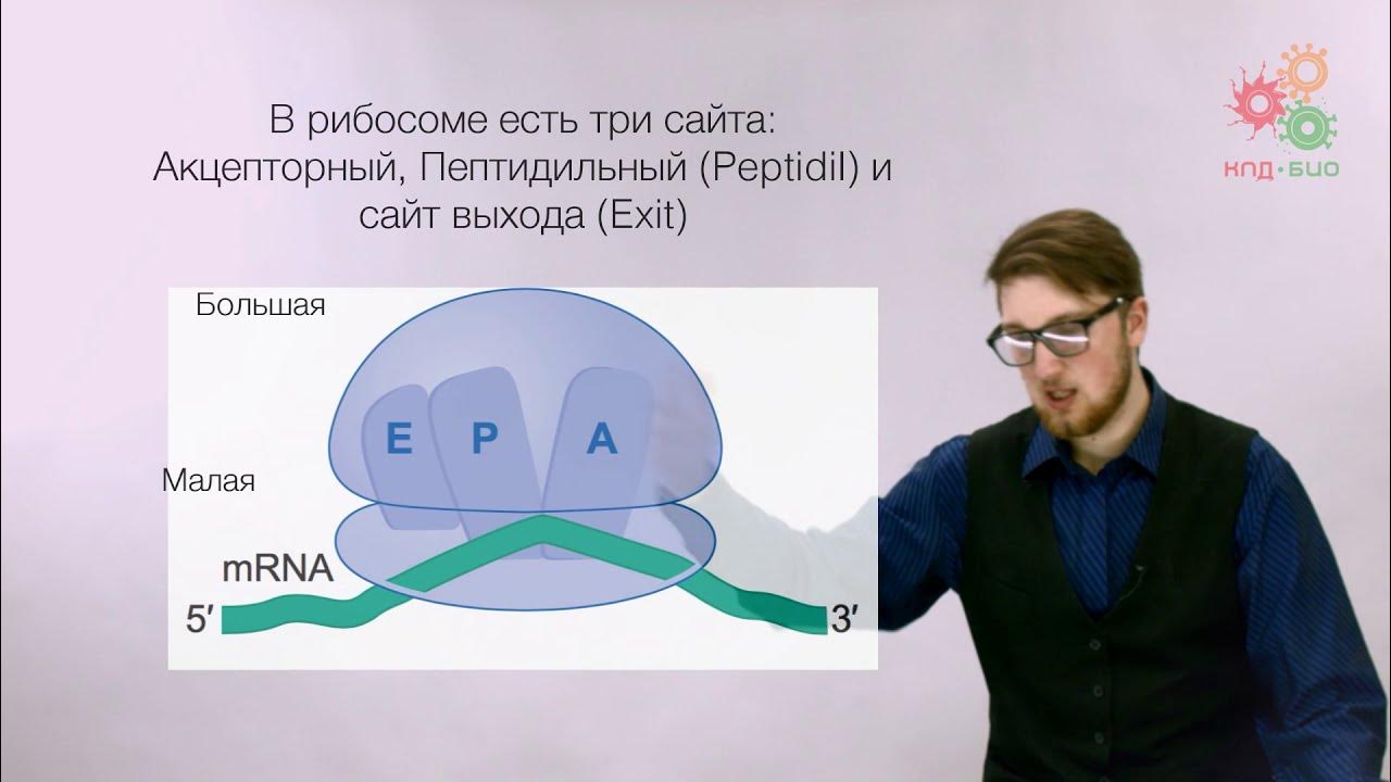 Трансляция информации в эфир
