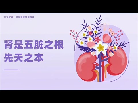 第6课：肾是五脏之根，先天之本！《五脏养生 肾为先》冬季养肾家庭健康管理课程