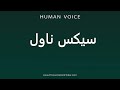How To Pronounce سیکس ناول How To Pronounce سیکس ناول
