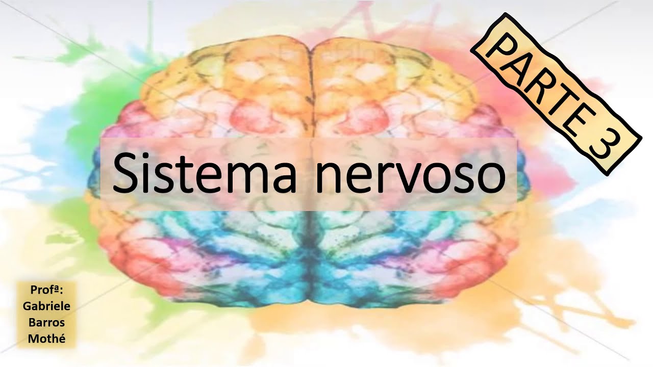 SISTEMA NERVOSO - parte 3 (anatomia veterinária)