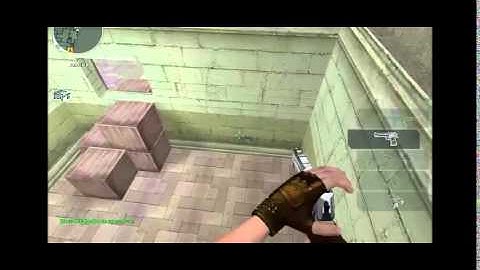 Bug Viuva negra ! 2015