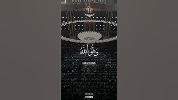 وهو الله, بصوت القارئ محمد صديق المنشاوي سورة القصص