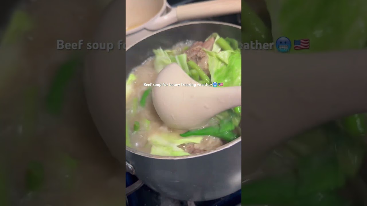 BEEF SOUP WITH VEGGIES FOR SUPER COLD WEATHER #share #amazing #shorts #beef #soup #winter #america