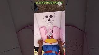 Human Anatomy Science Project//Human Internal body parts//Science Project//Internal organs of human