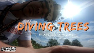 Tree Diving FPV Freestyle #fpvfreestyle #trees #drone