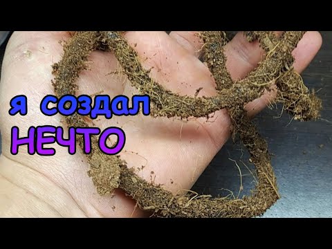 Я СОЗДАЛ НЕЧТО...