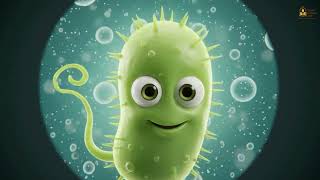 Bacteria: Tiny Organisms, Huge Impact | Animated Infographic