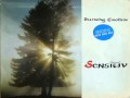 Sensitiv - Burning Emotion