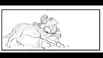 Procreate storyboard