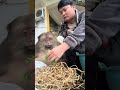 Xingxing~You Eat The Fruit Yourself And Give Me The Bean#Monkey #Cute