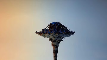 RealFlow morph example