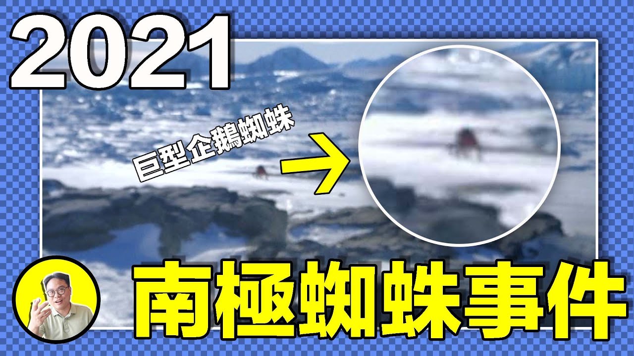 2021年，一張企鵝蛛照片引出90年代隱秘。詭異禁區與傷員，鑽探南極冰層解封了強大生物？那片冰海或許能証明外星生命的存在......｜總裁聊聊