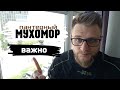 Осторожно! Мухоморы изменят Вашу жизнь...