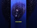 “Ne saute jamais dans cette tache sombre dans l’océan…” #shortvideo #viral