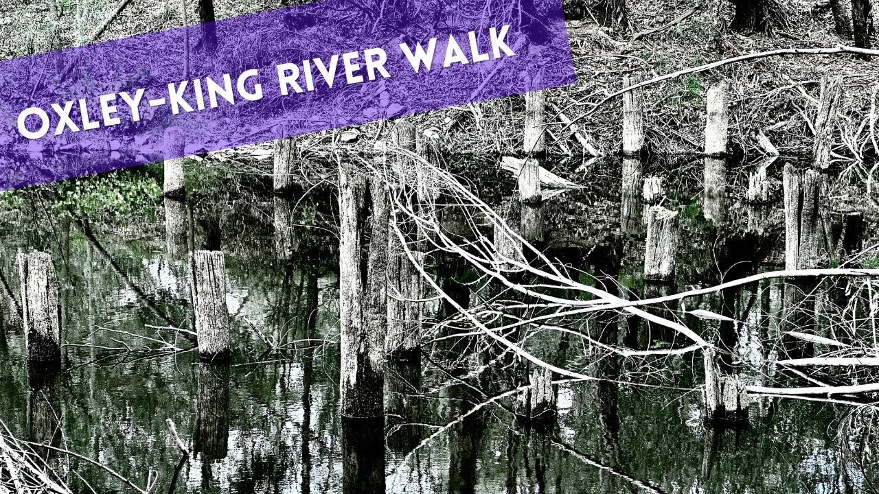 Oxley King River Walk May 2023 YouTube